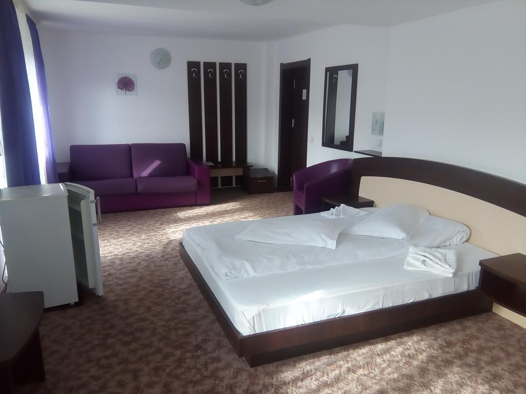Vila Alegria Buşteni Kamer foto