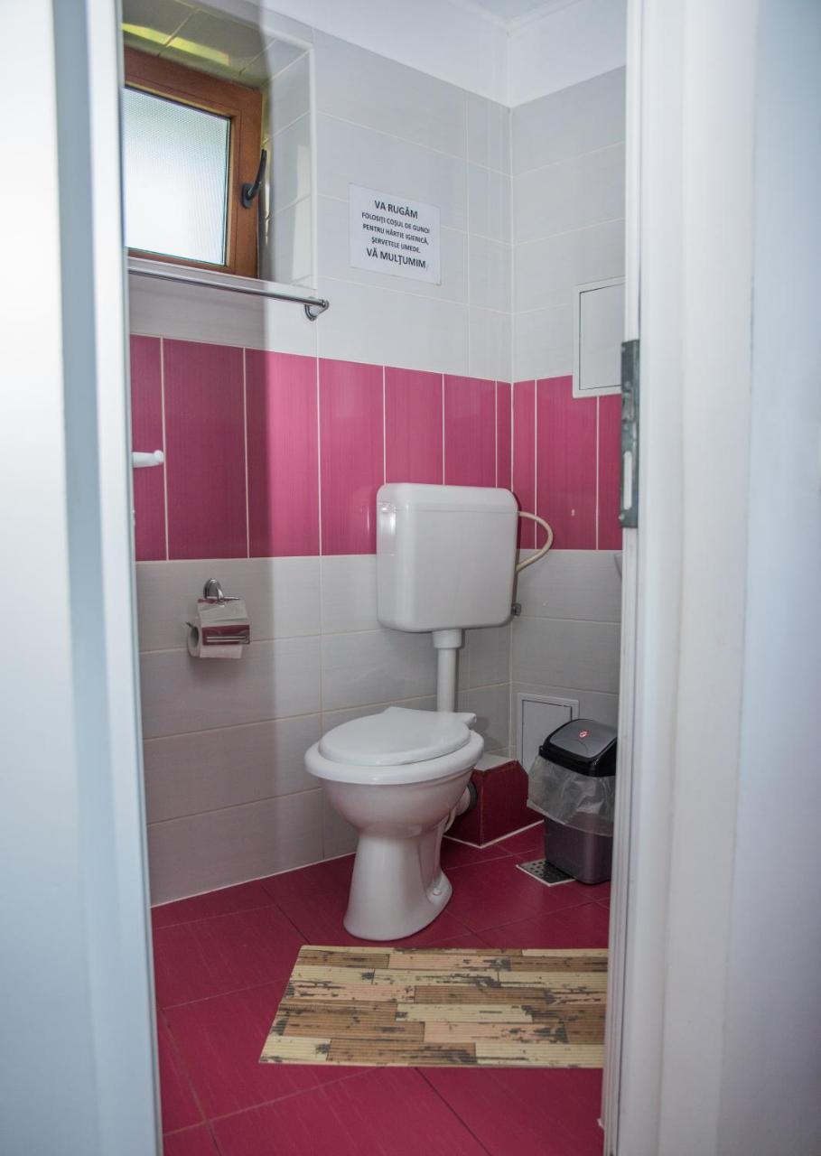 Vila Alegria Buşteni Buitenkant foto