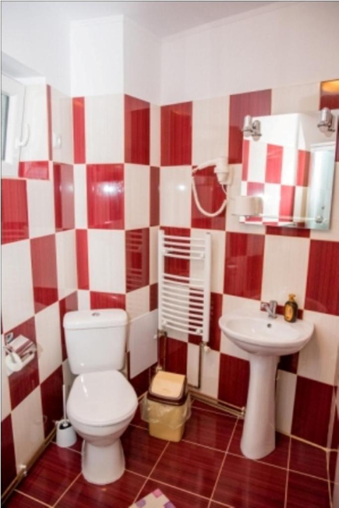 Vila Alegria Buşteni Buitenkant foto