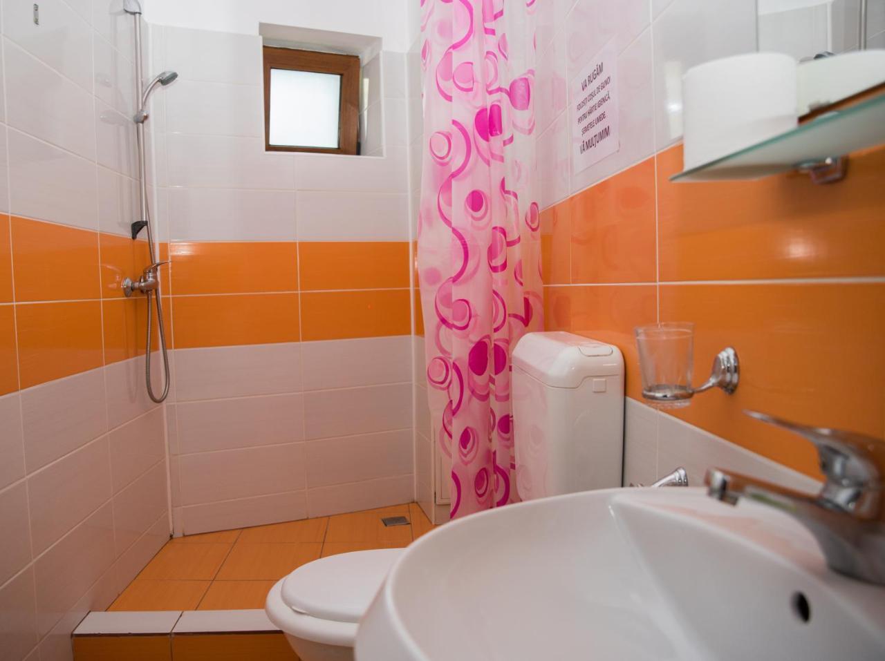 Vila Alegria Buşteni Buitenkant foto
