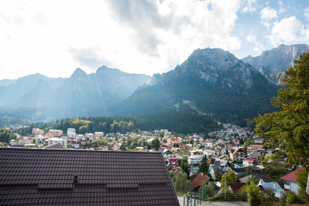 Vila Alegria Buşteni Buitenkant foto