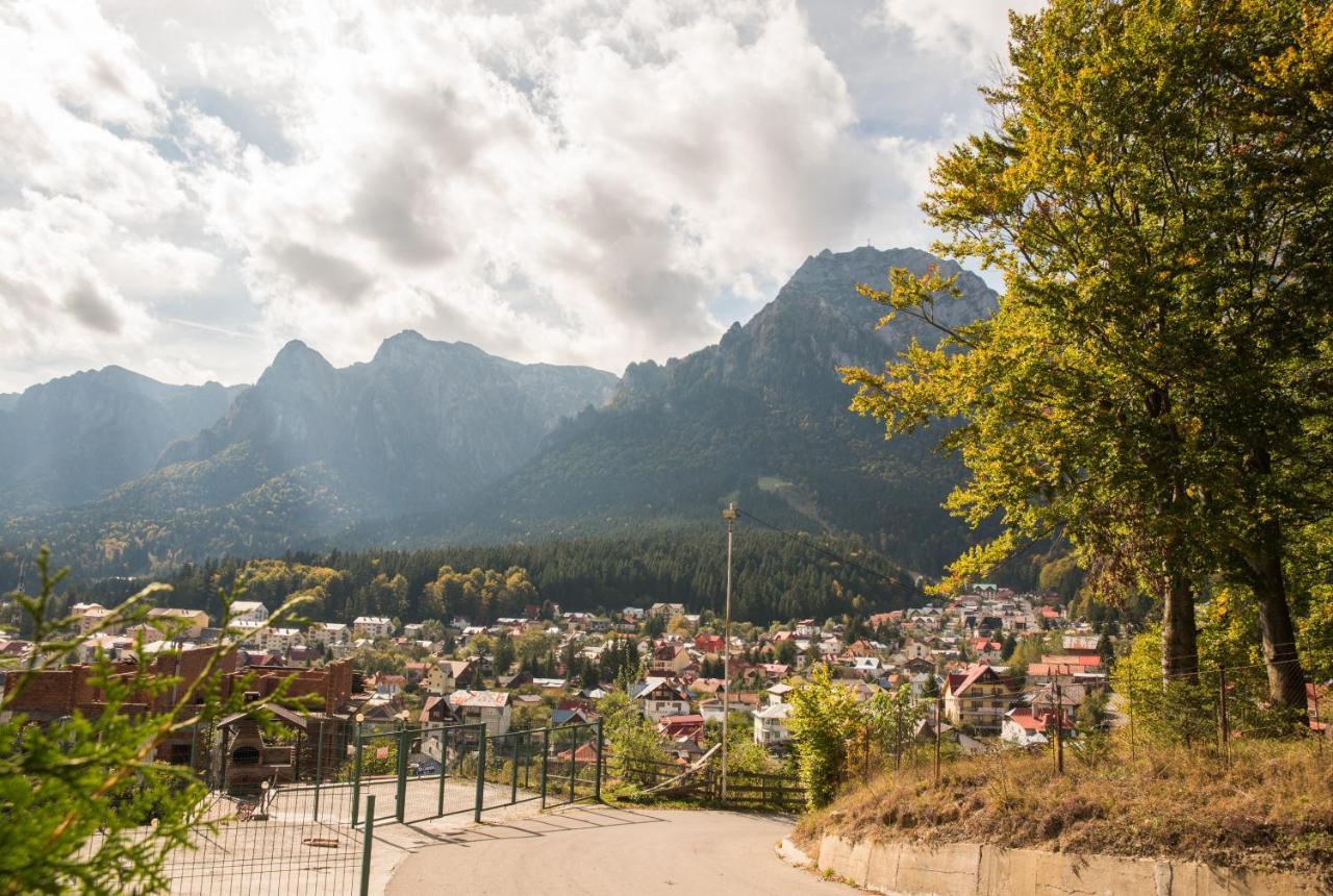 Vila Alegria Buşteni Buitenkant foto