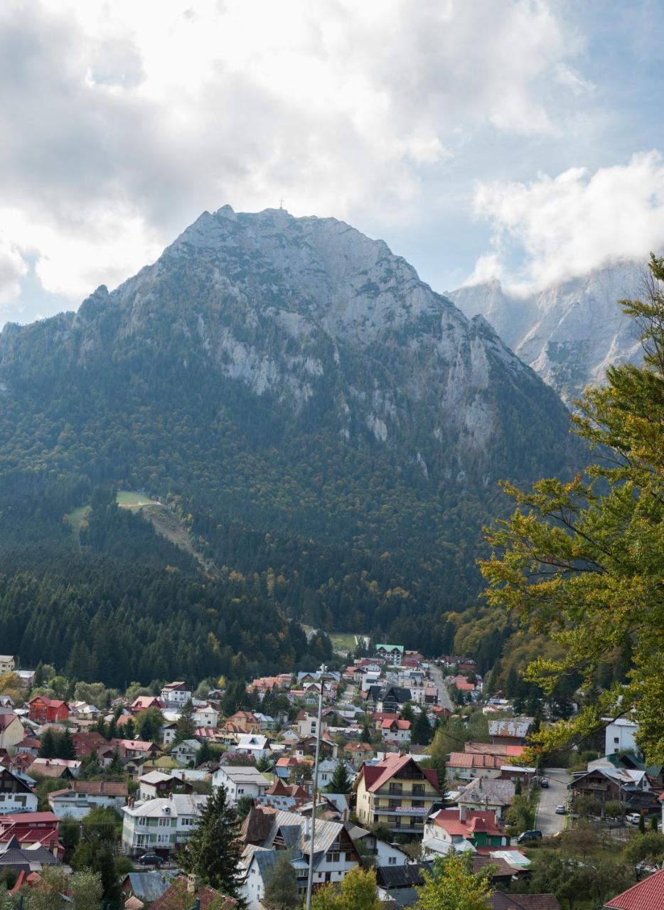 Vila Alegria Buşteni Buitenkant foto